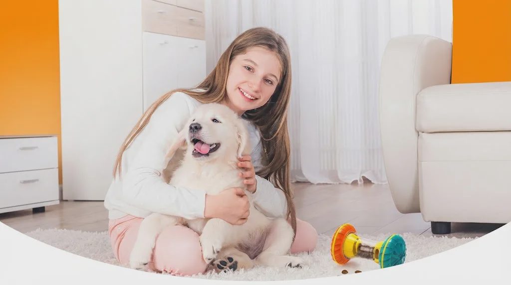 BoYoYo Interactive Dog Puzzle Toy Review: The Treat-Dispensing Slow Feeder That Keeps a Small-Apartment Dog Busy